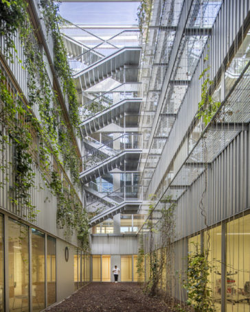 A Biophilic Workspace for Doctors Without Borders Headquarters in ...