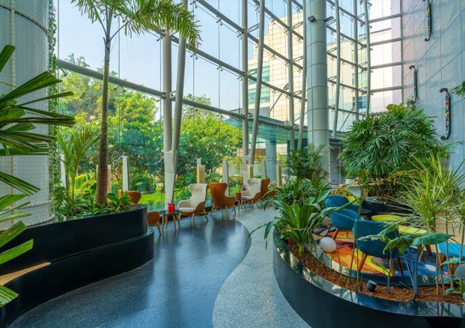 Skootr creates India’s first tropical forest theme office in Hyderabad ...