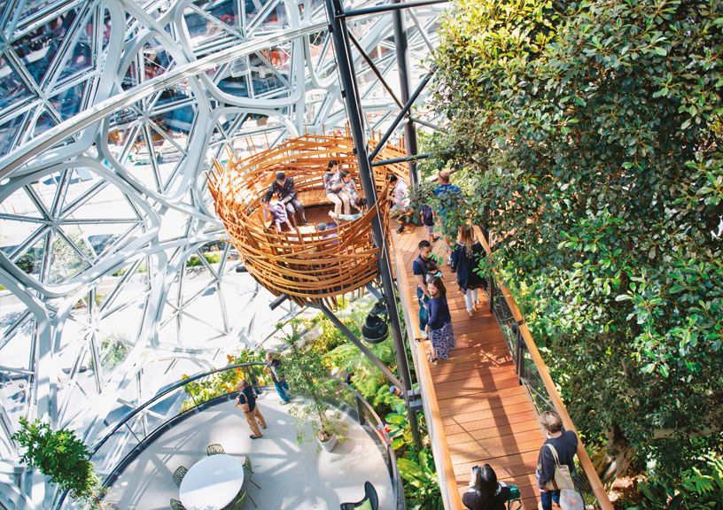 Amazon Spheres